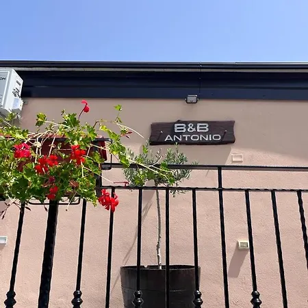 Antonio בית נופש